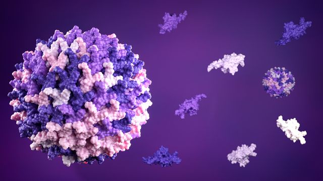 3D illustration of AAV particles for upstream AAV characterization with mass photometry. 