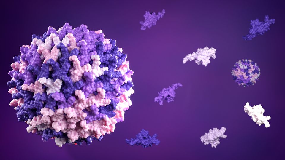 3D illustration of AAV particles for upstream AAV characterization with mass photometry.