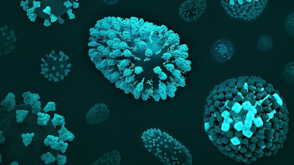 3D illustration of respiratory viruses and viral particles.