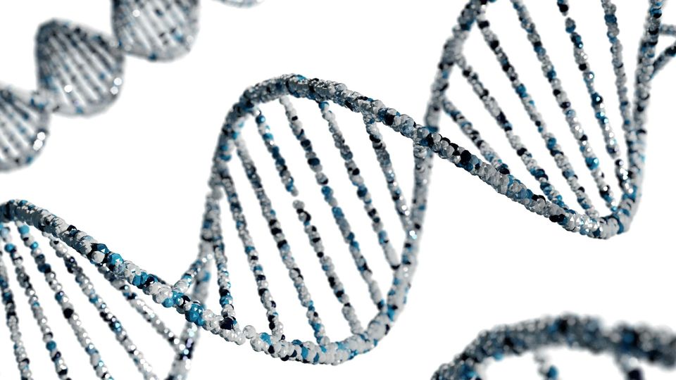 A 3D render of a DNA double helix made of blue, white, and silver textured spheres against a white background.