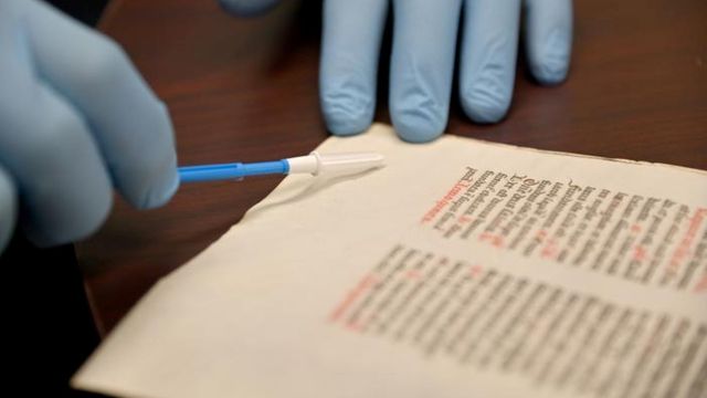 Ancient Parchments Reveal Hidden Genetic History | Technology Networks