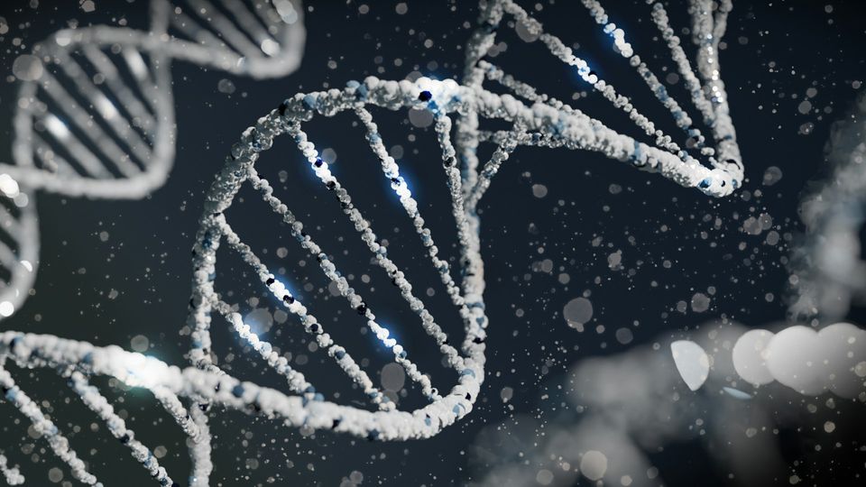 A 3D render of a DNA double helix made of blue, white, and silver textured spheres against a white background.