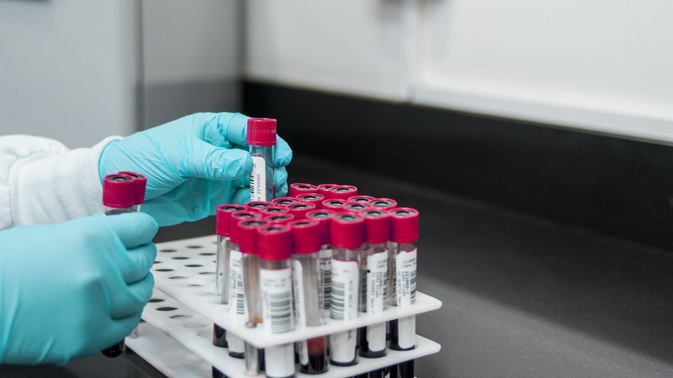 Gloved hands organizing sample tubes in a laboratory rack.