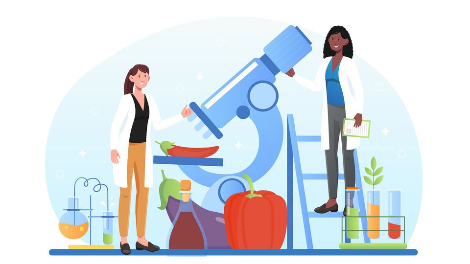 A cartoon image of two scientists beside a giant microscope with peppers, flasks, and test tubes.