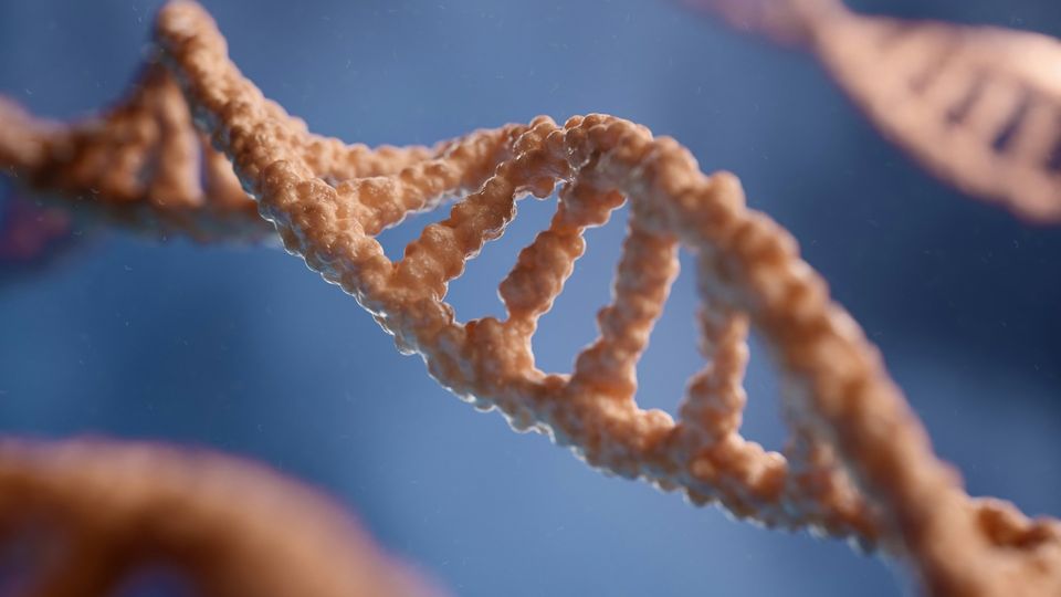 Close-up illustration of a DNA double helix structure.