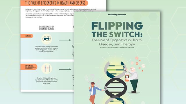 Flipping the Switch: The Role of Epigenetics in Health, Disease, and Therapy 