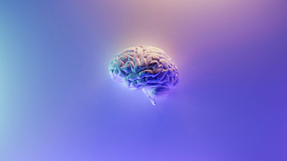 3D brain model floating on a purple gradient background.