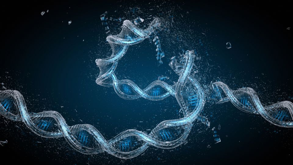 A strand of DNA bends and breaks, illustrating DNA damage.