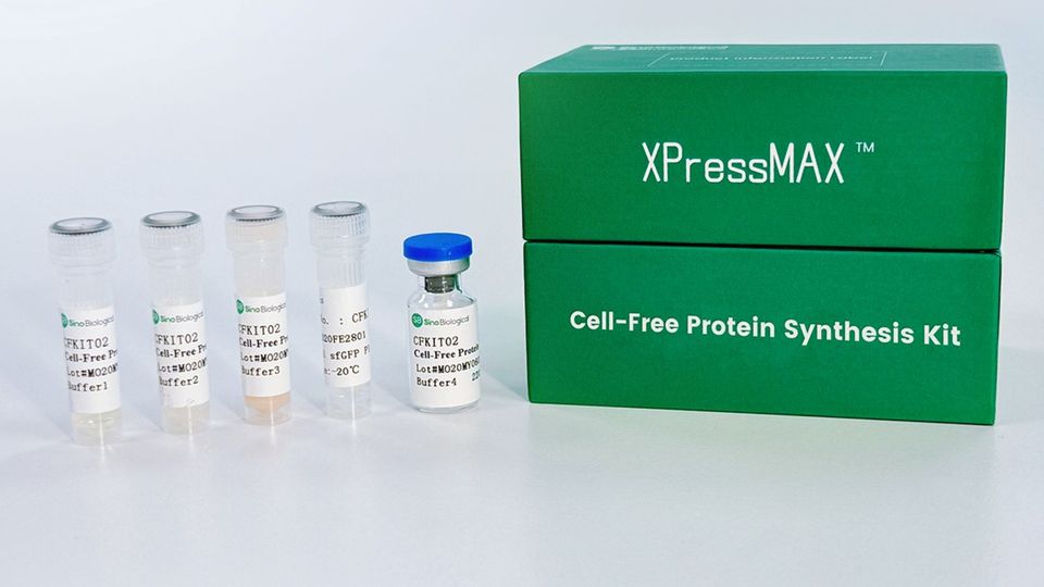 XPressMAX cell-free protein synthesis kit with reagent vials for biotech research.