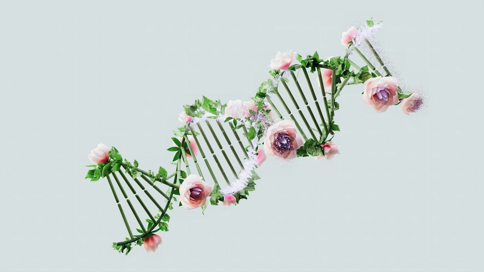 illustration of Floral DNA helix.