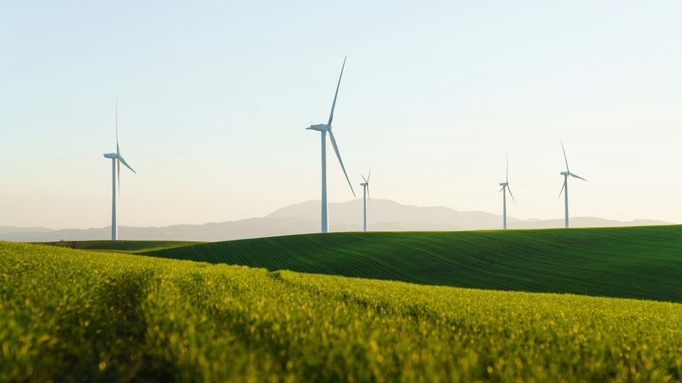 Wind turbines generating renewable energy across green farmland at sunrise.