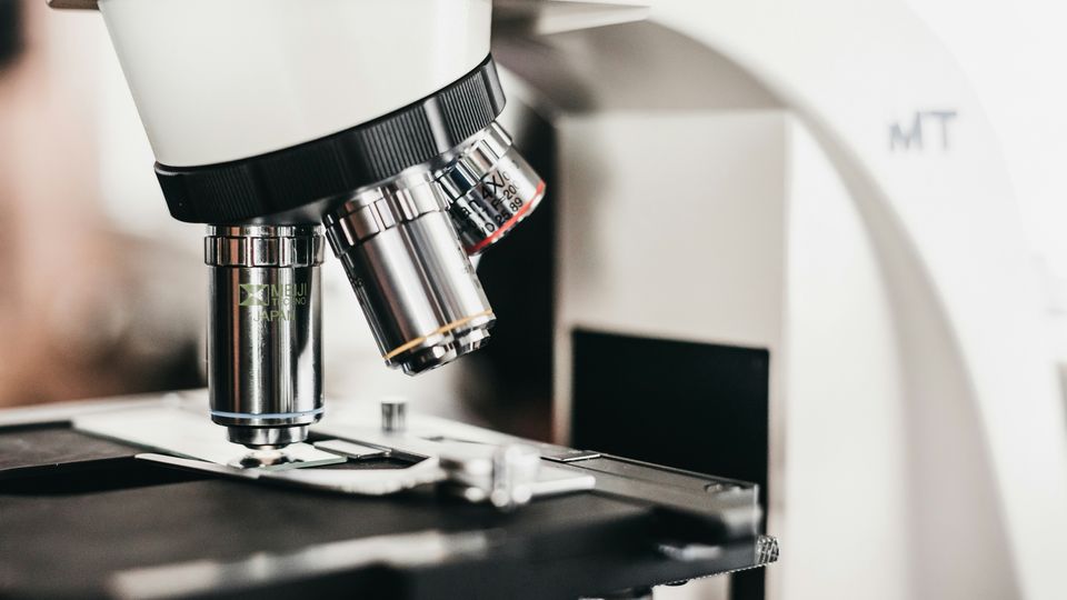AI-Ready Microscopes Advance Cell Biology | Technology Networks