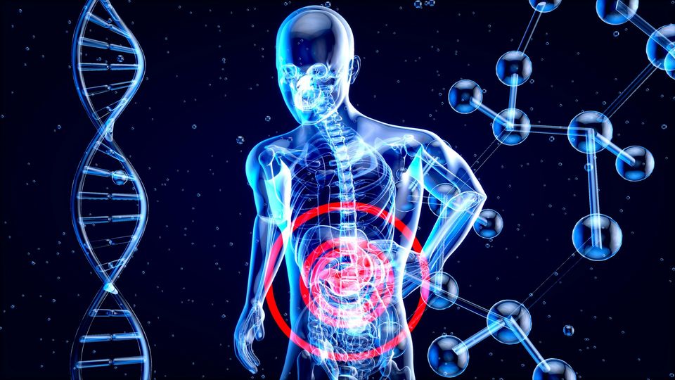 3D medical imaging of the human body with DNA and molecular structures.