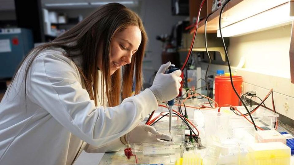 Researcher using a pipette in a laboratory for biomedical and scientific research.