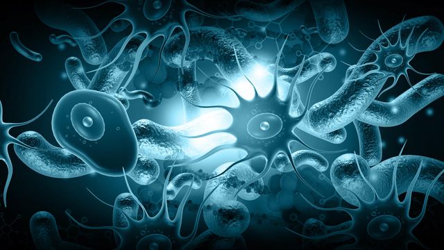 Illustration of a variety of amoebae floating on a dark grey background. 