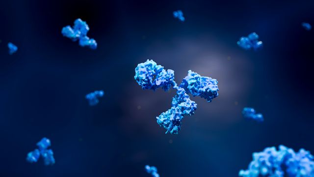 3D illustration of bispecific antibodies for rapid bispecific antibody characterization by mass photometry. 