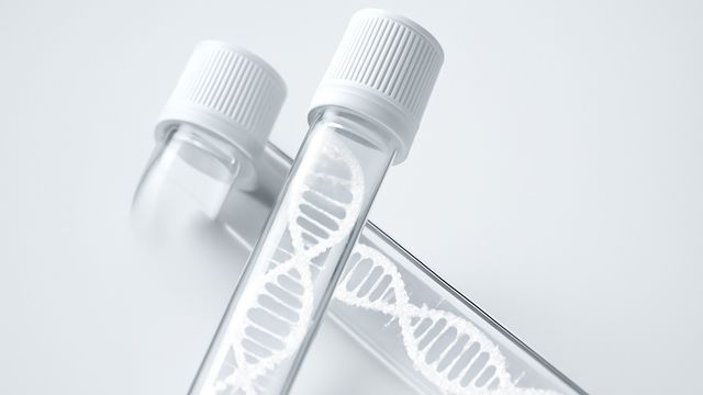 AI Tool Simplifies Rare Disease Diagnosis | Technology Networks