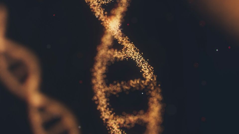 Golden DNA helix strands glowing in a dark background.