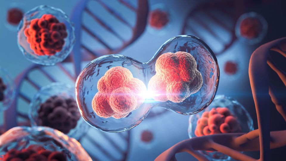 Illustration of cell division with splitting cells and DNA strands in the background.