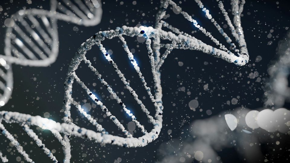 Close-up of DNA double helix strands in black and white.