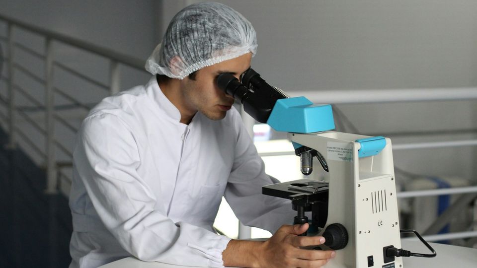 Researcher examining samples under a laboratory microscope.