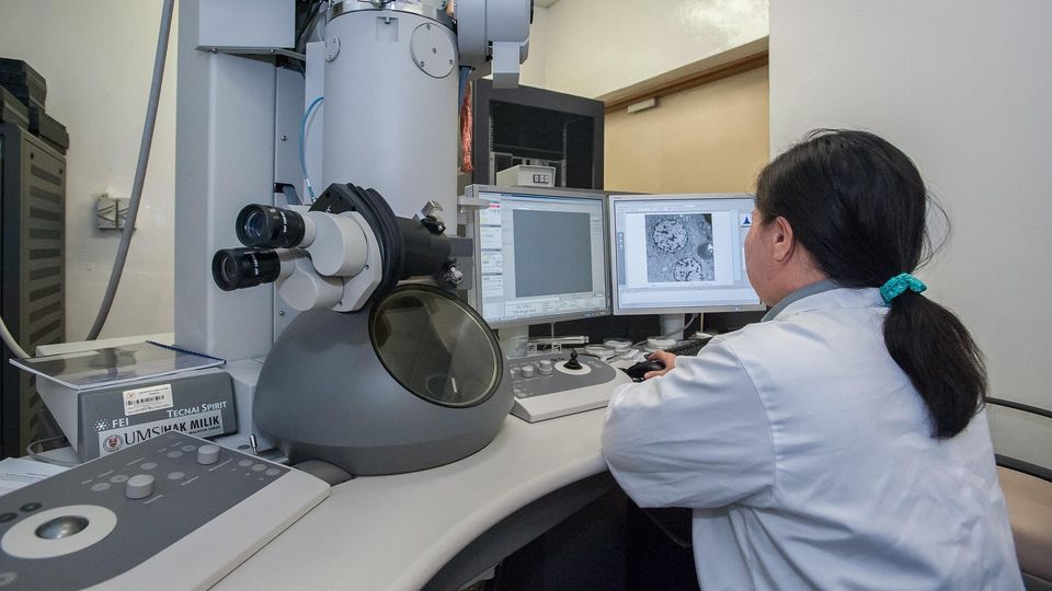 Researcher operating an electron microscope and analyzing imaging data on laboratory computer monitors.