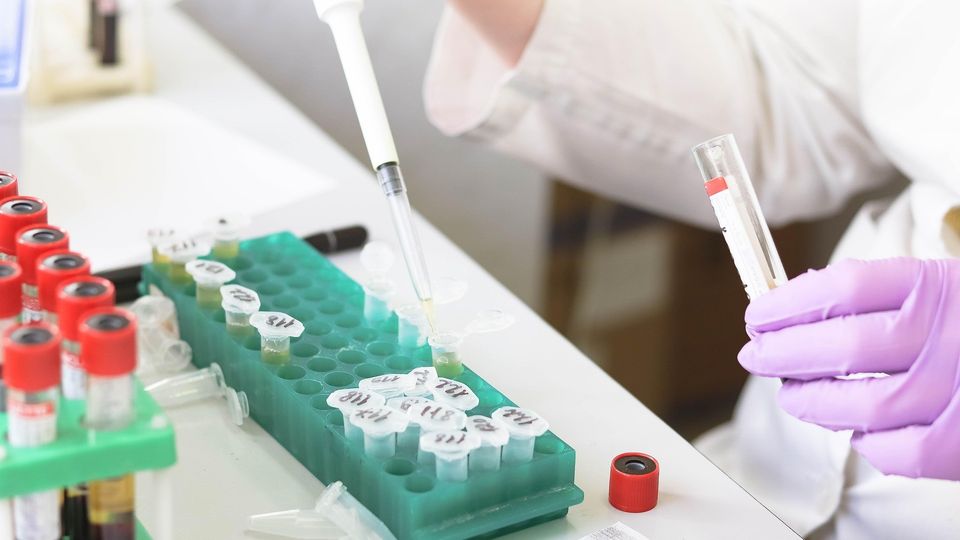 Laboratory technician using a pipette to transfer samples into labeled microcentrifuge tubes for analysis.
