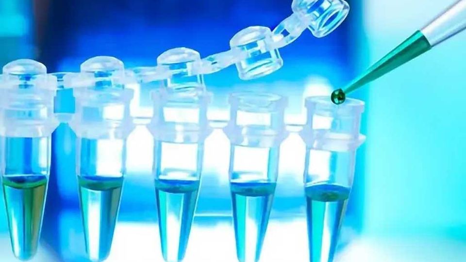 Microtubes with pipette dispensing fluid. 