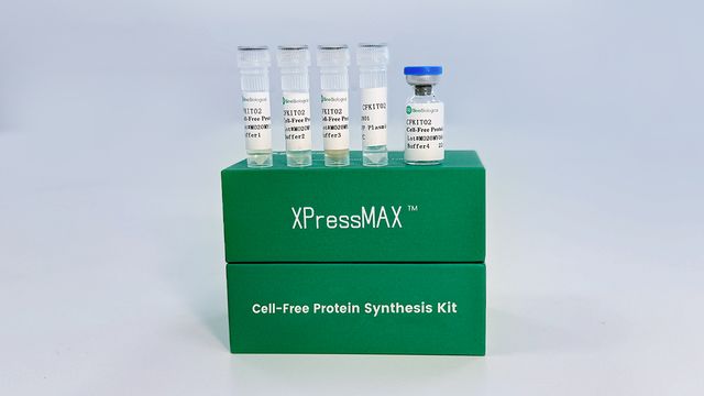 XPressMAX Cell-Free Protein Synthesis Kit with reagent tubes and vial displayed on green product packaging. 