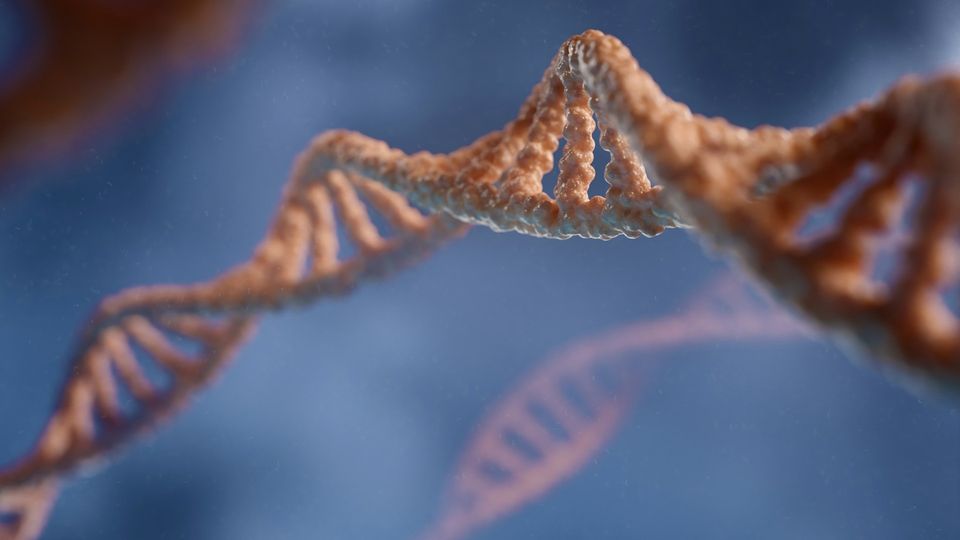 Close-up 3D illustration of a DNA double helix structure, highlighting the twisted molecular strands.