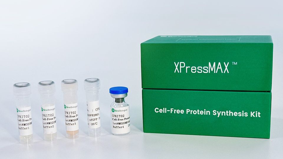 Sino Biological XPressMAX cell-free protein synthesis kit with reagent vials for recombinant protein expression.