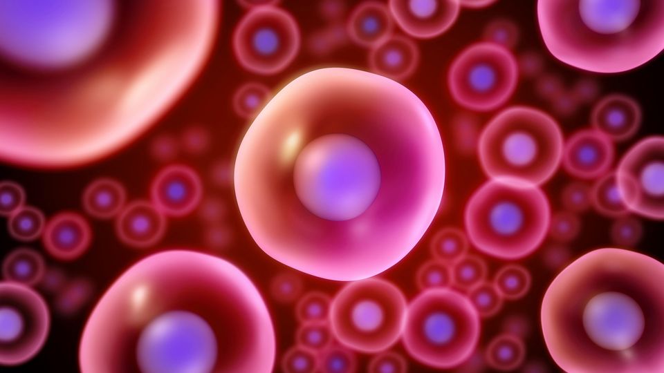 3D cell illustration showing cellular structures against a red background.