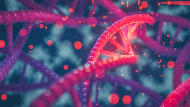 MDNA Tool Advances DNA Modeling