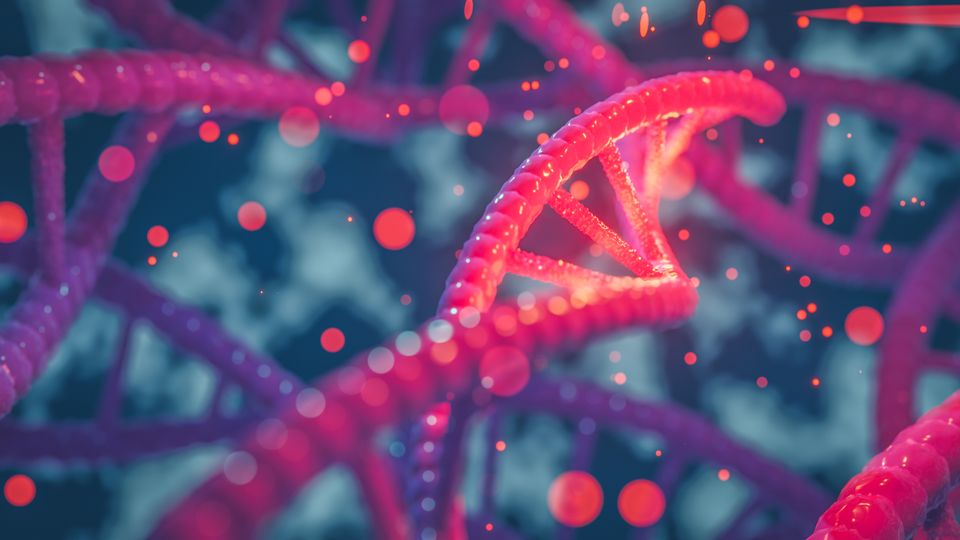 Illustration of several red DNA double helices on a dark grey background.