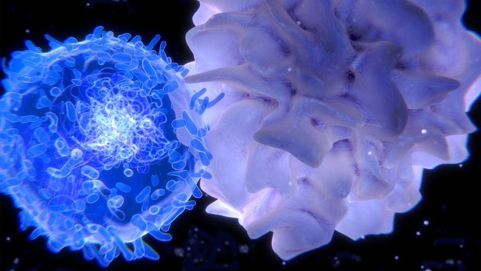 Render of an immune cell in blue with surface receptors visible, interacting with another cell against a dark background.