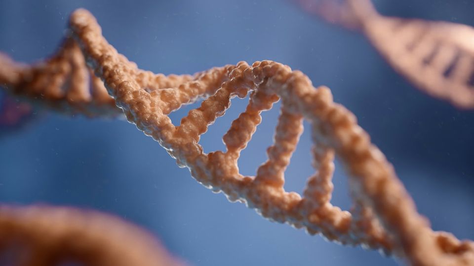 Illustration of a DNA helix structure.