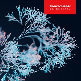 Abstract illustration of branching fungal hyphae network used for fungal identification and microbiology research with Thermo Fisher Logo.