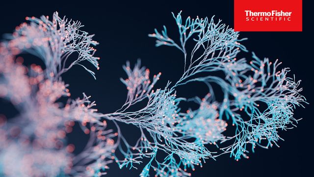 Abstract illustration of branching fungal hyphae network used for fungal identification and microbiology research with Thermo Fisher Logo. 