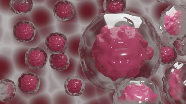 3D illustration of red blood cells and immune cells. 