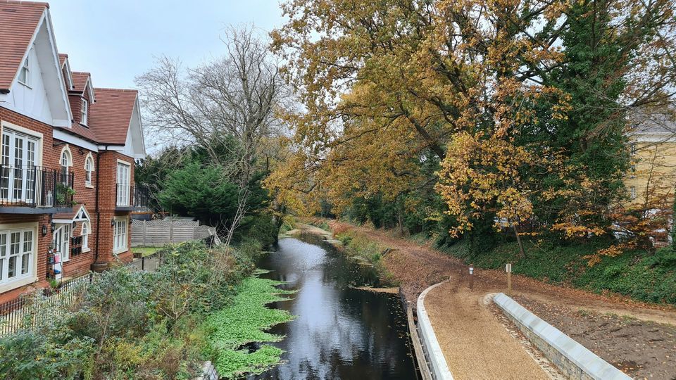 Trees lining a riverside path beside residential homes during autumn.