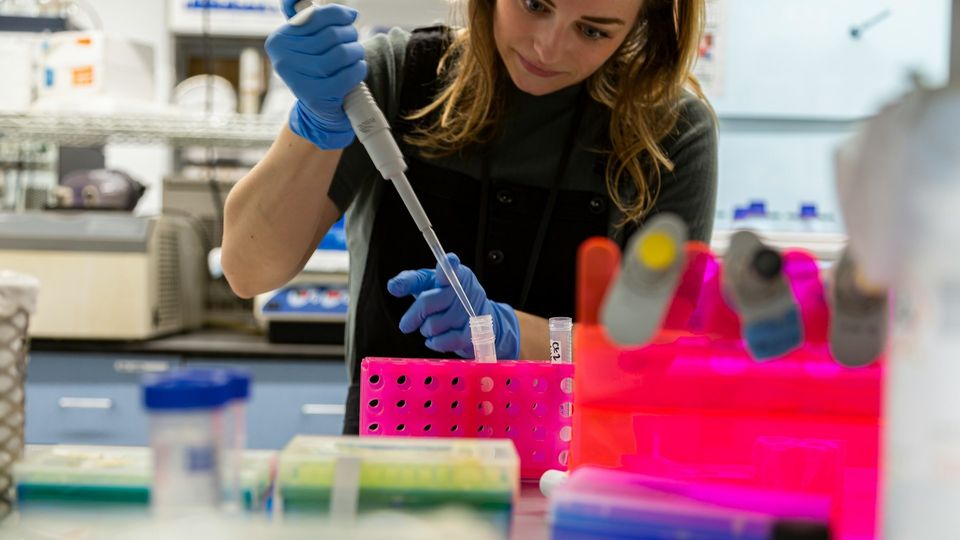 Researcher using a pipette to transfer samples into test tubes during laboratory analysis.