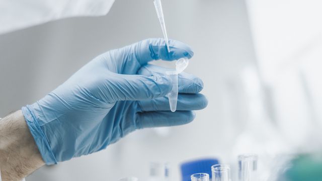 A gloved hand holding a sample tube while pipetting from it.  