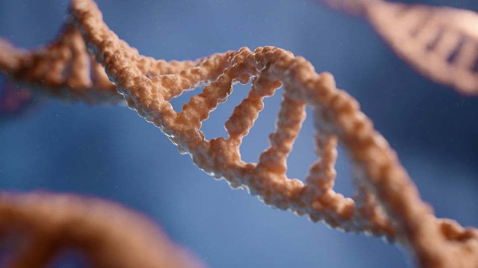 DNA double helix strands in soft-focus molecular biology.