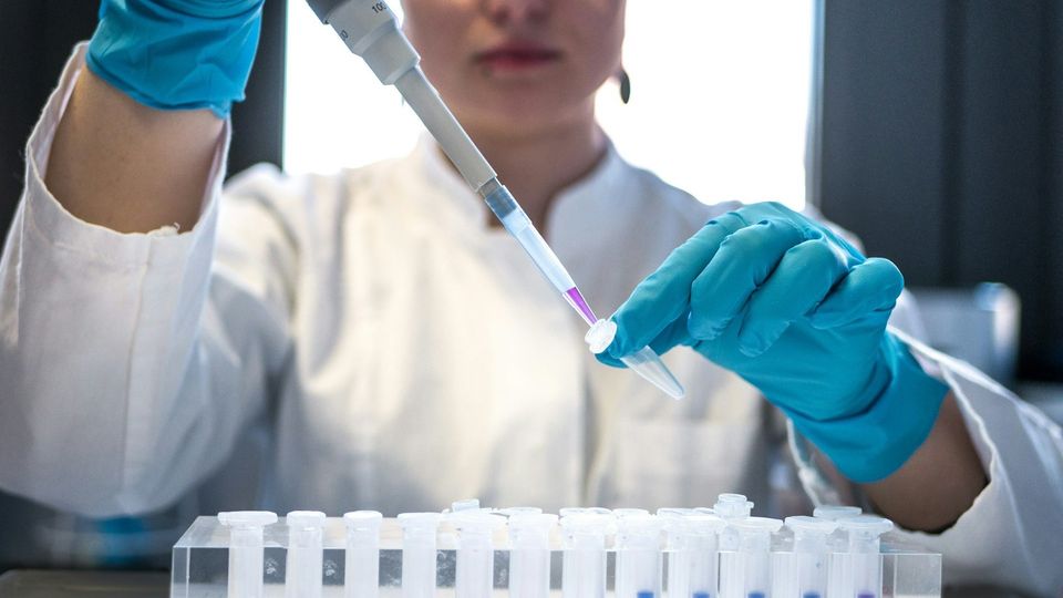 Scientist using a pipette to transfer liquid samples into microcentrifuge tubes in a laboratory.