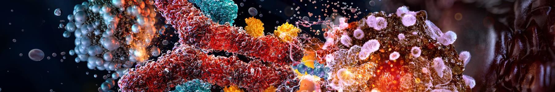 Illustration of protein interactions and antibodies in the tumor microenvironment, highlighting tumor biology through proteins. 