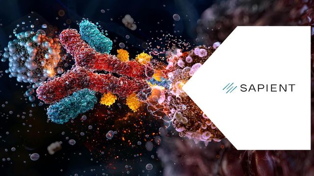 Illustration of protein interactions and antibodies in the tumor microenvironment, highlighting tumor biology through proteins. 