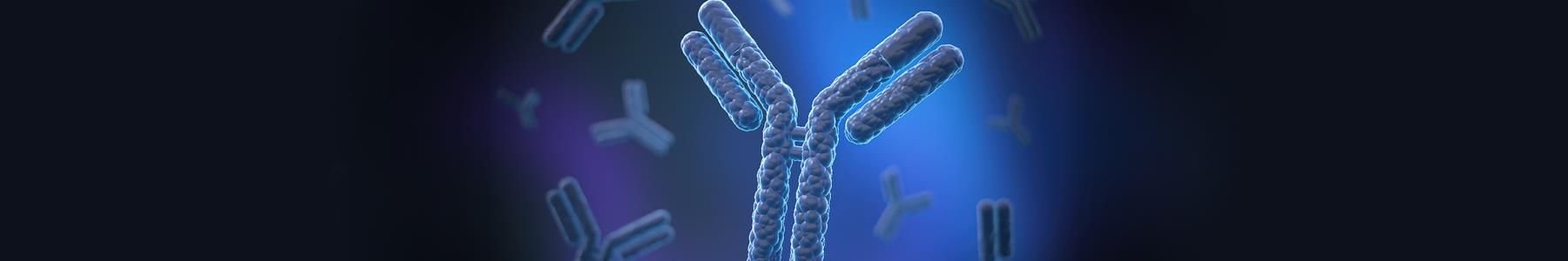 Blue monoclonal antibody forms on gradient background representing infectious disease research biotech applications for R&D 
