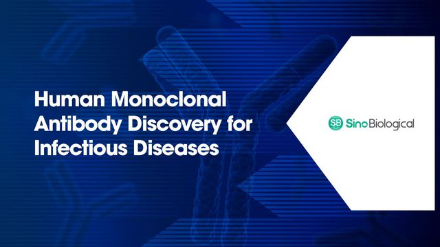 Human monoclonal antibody discovery for infectious diseases with blue antibody illustration and Sino Biological logo 
