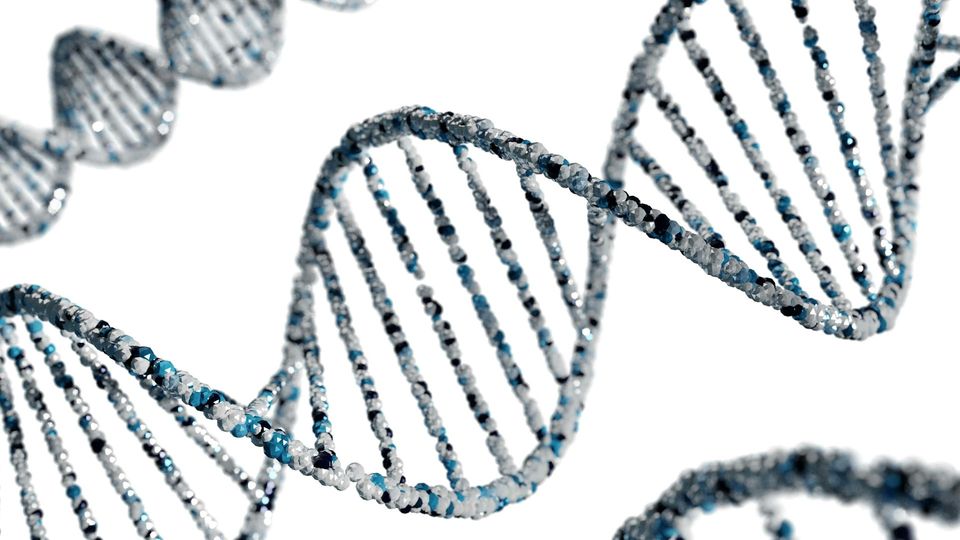 A 3D render of a DNA double helix made of blue, white, and silver textured spheres against a white background.