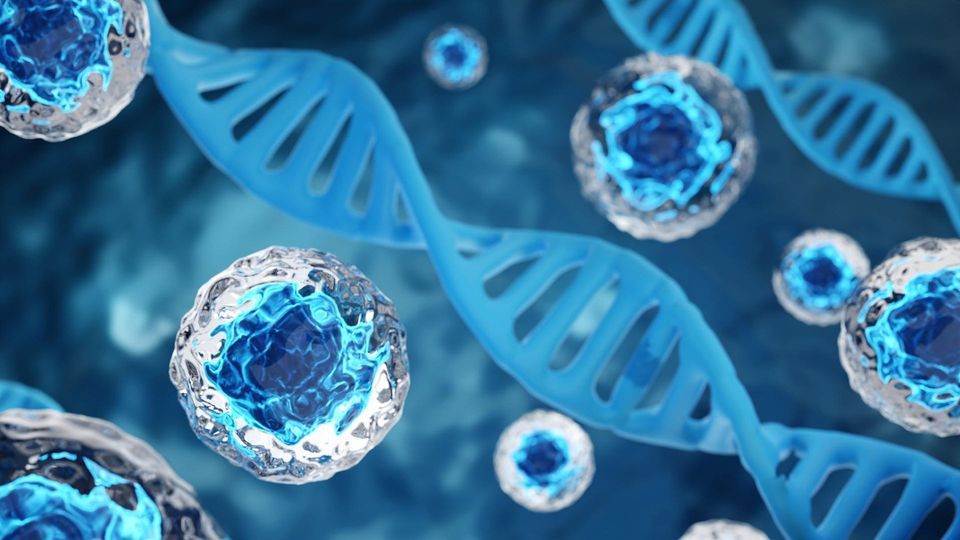 A 3D illustration of human cell spheres floating alongside a double helix DNA strand.